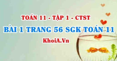 Bài 1 trang 56 SGK Toán 11 Tập 1 Chân trời sáng tạo